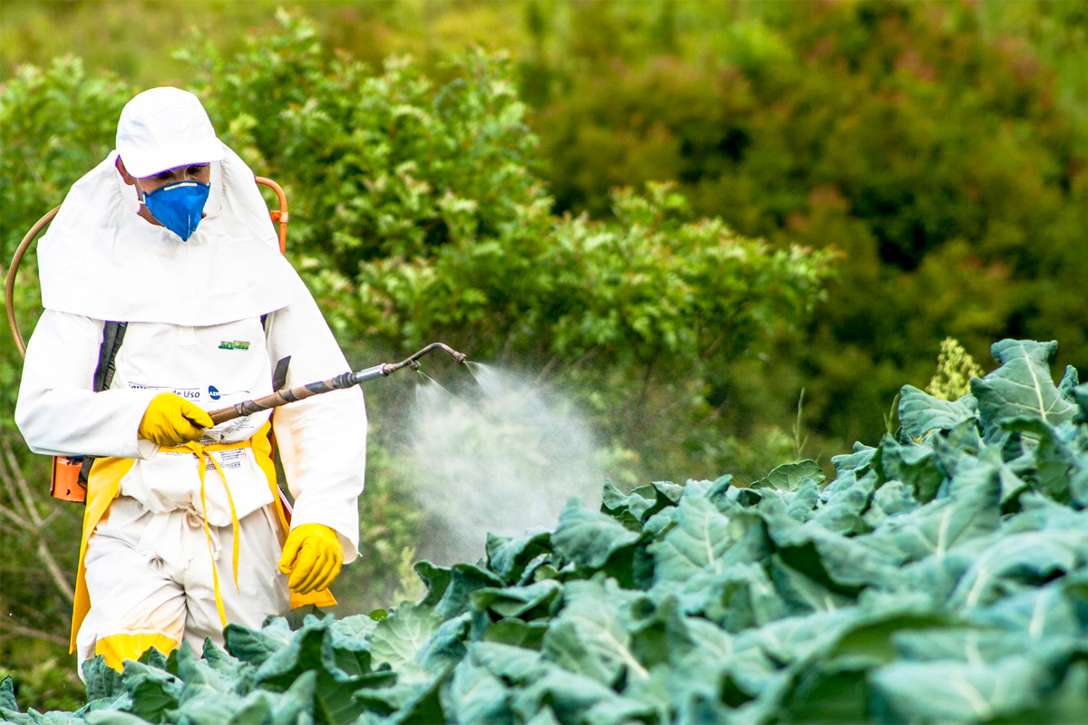 Pesticide