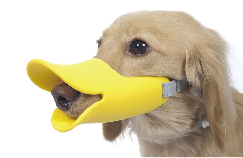 Quack- Duck Bill Muzzle For Dog