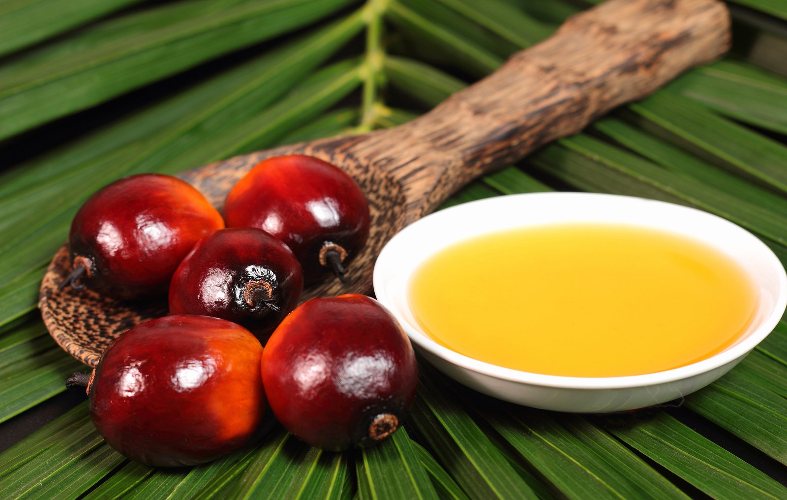 Palm Oil