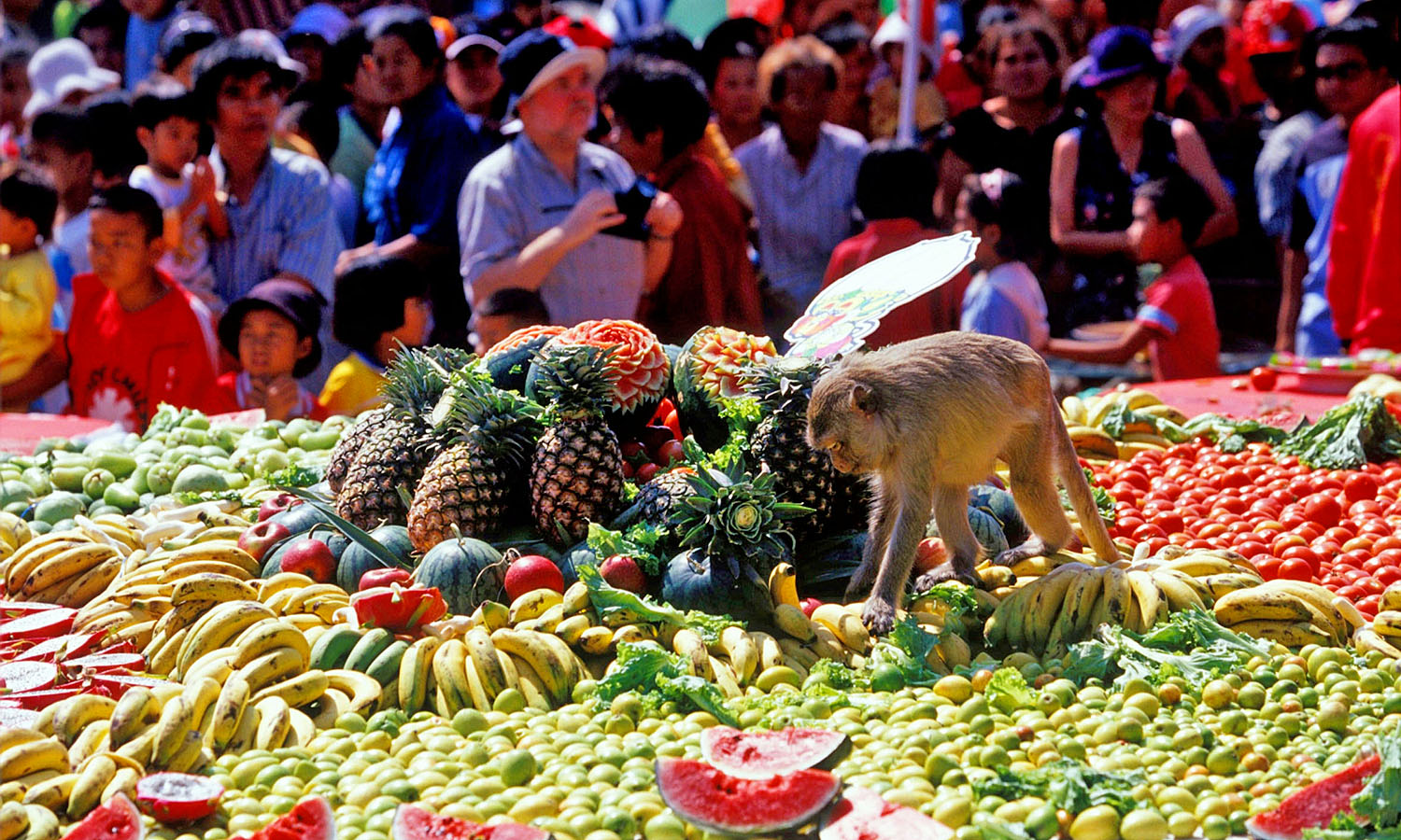 The Monkey Buffet Festival In Thailand