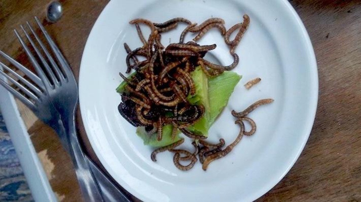 Locusts and mealworms at Le Festin Nu, Paris