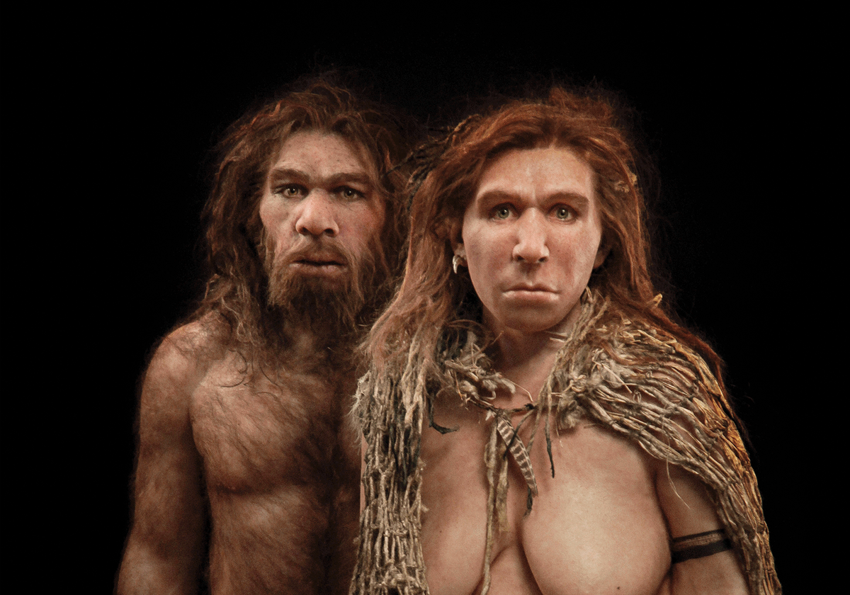 Humans Likely Contain Some Amount of Neanderthal DNA