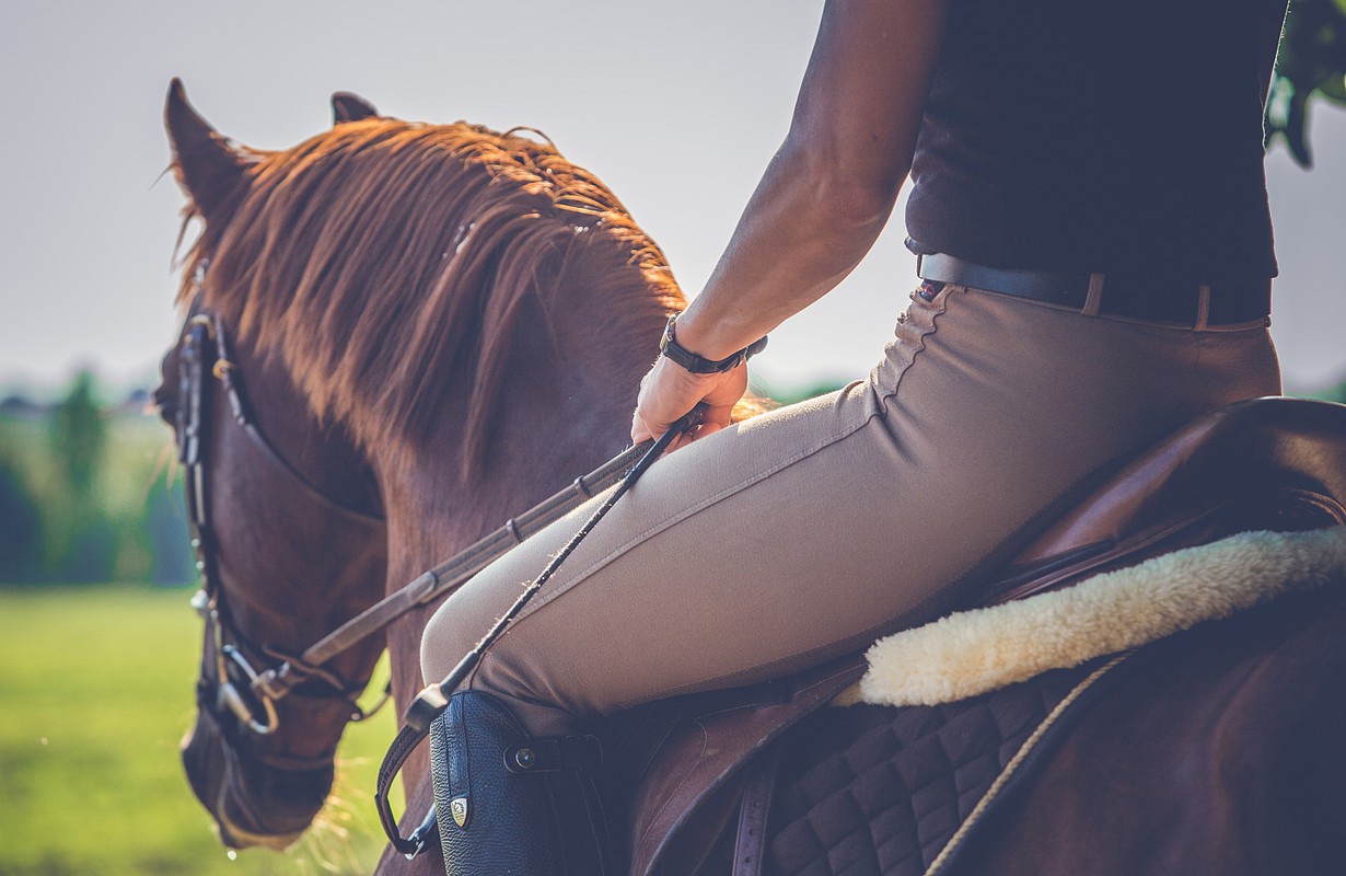 Horse Riding