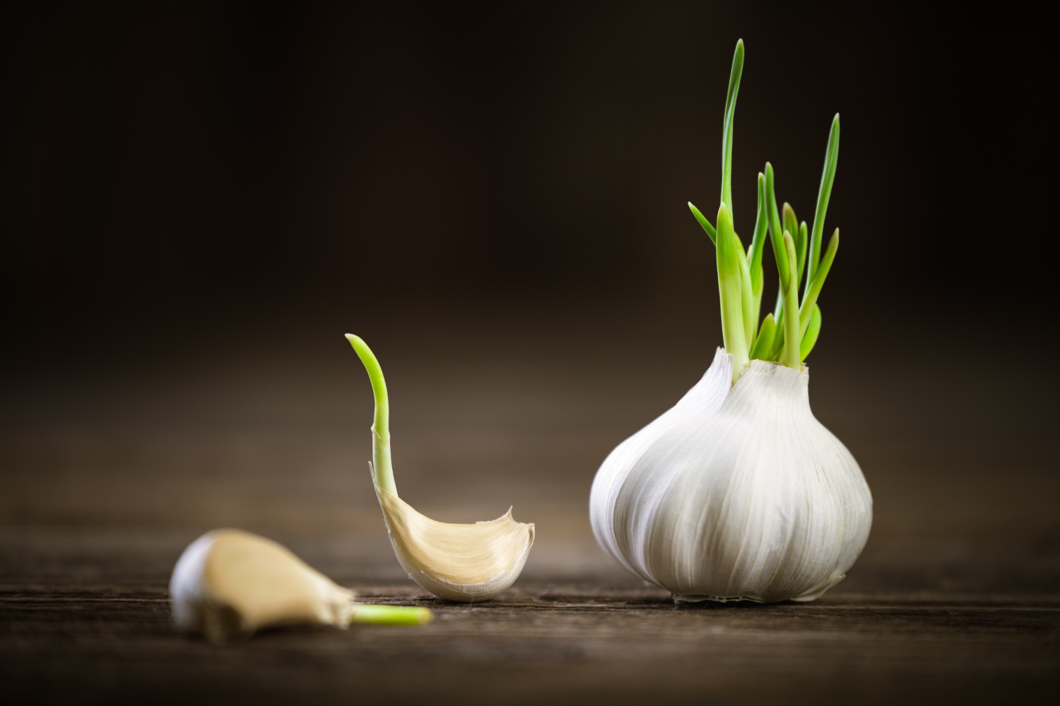 China produces 80% of the world’s garlic