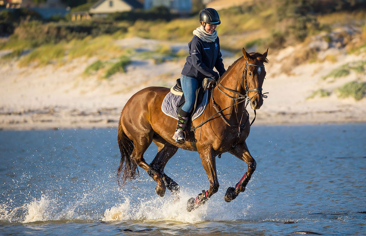 Horse Riding