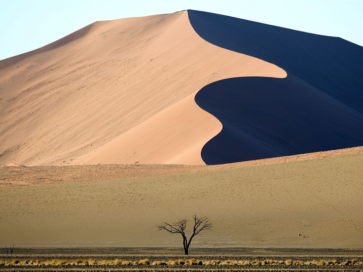 Kalahari Desert