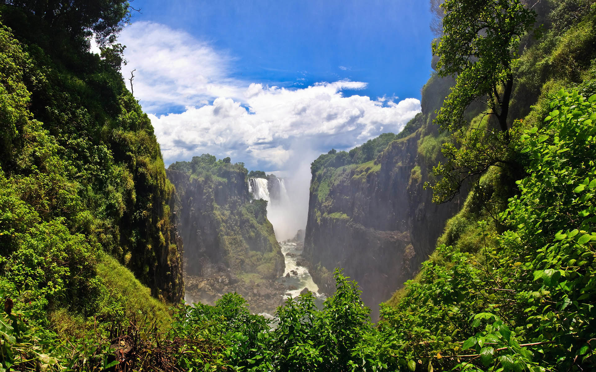 Mount Mabu Rain Forest, Africa