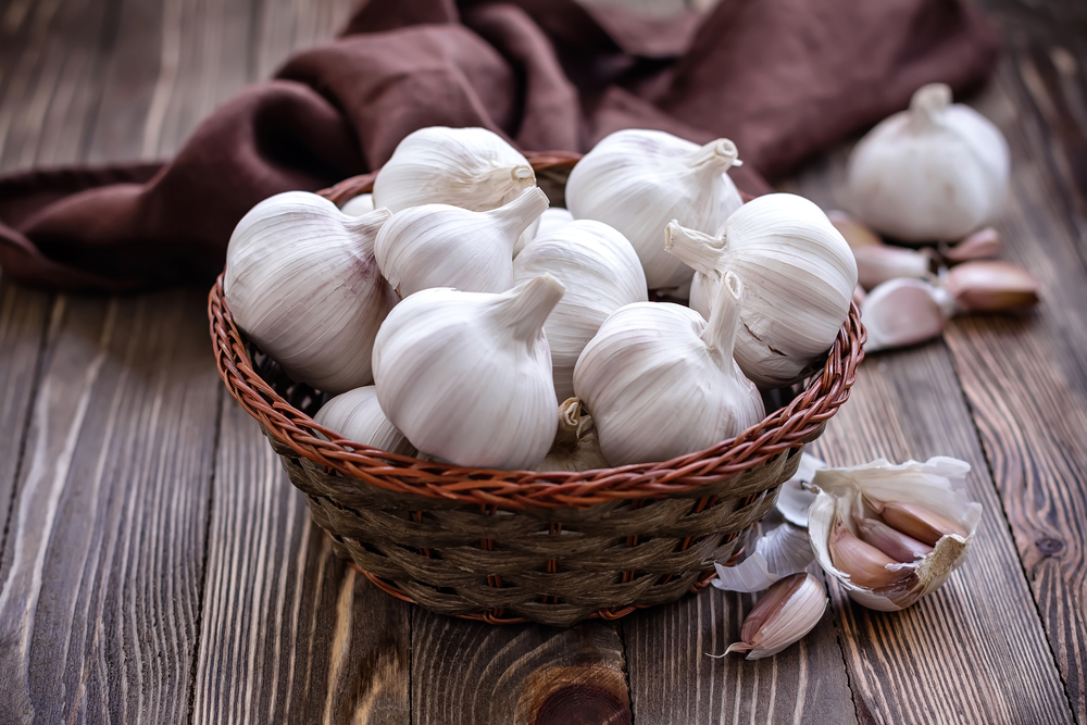 Garlic has historically been used to treat a wide range of health problems