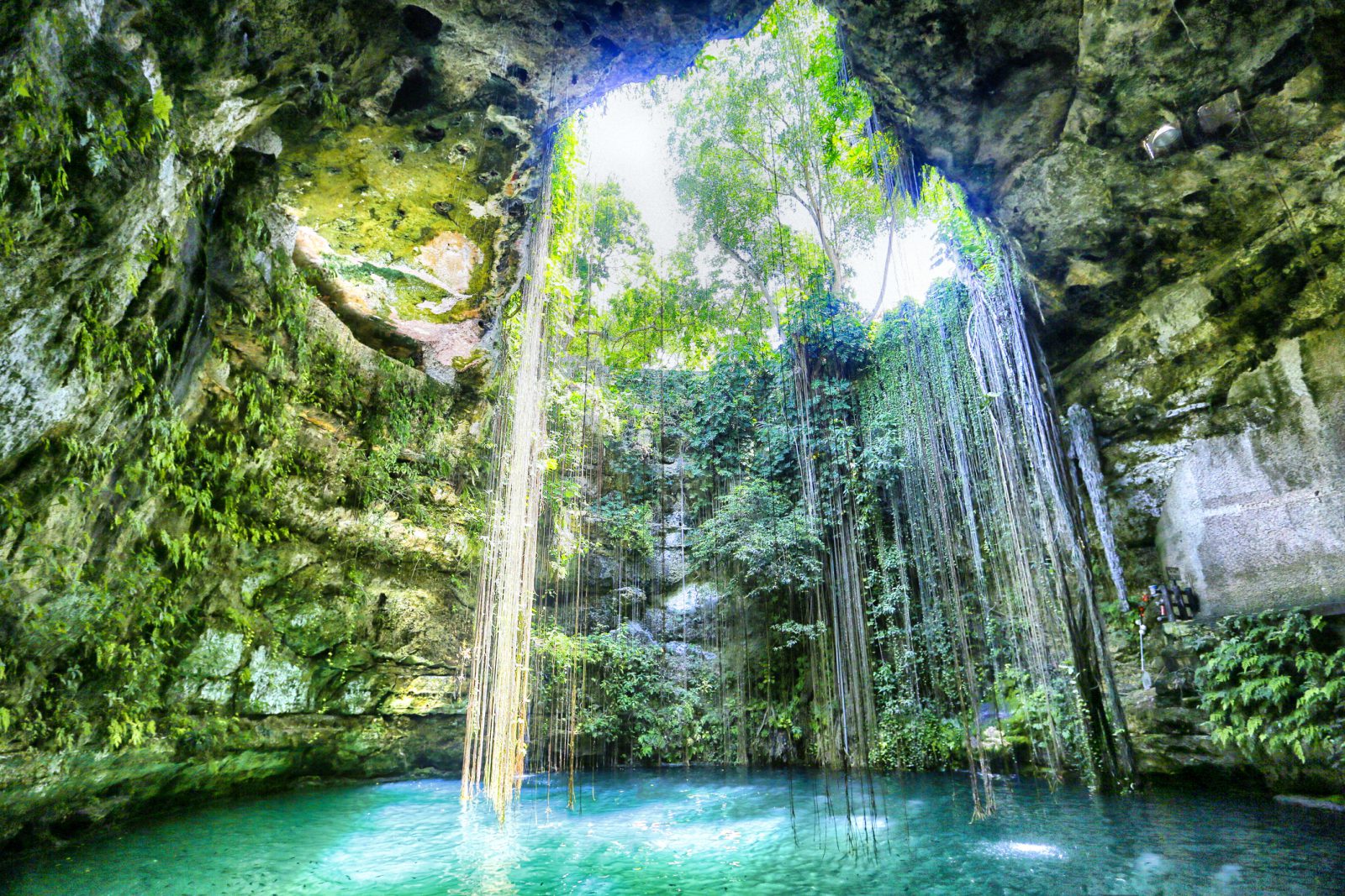 Yucatan Cenotes, Mexico