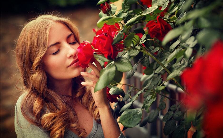 Roses give off a relaxing scent