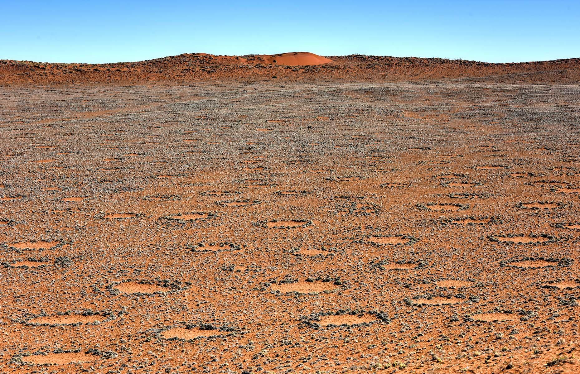 Fairy Circles – Namibia