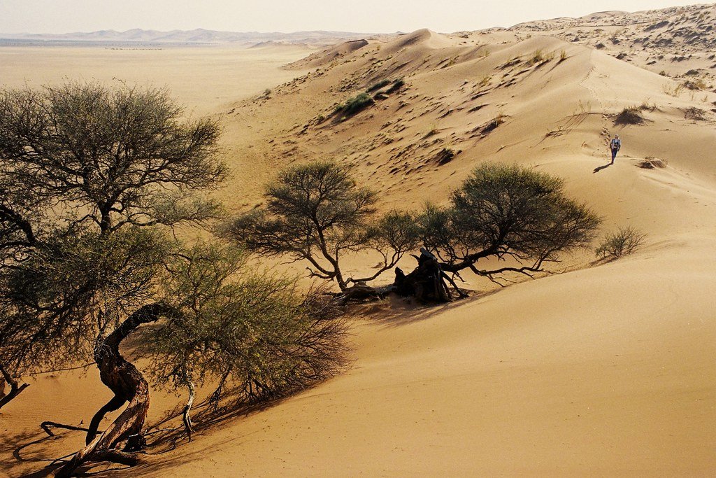 Kalahari Desert