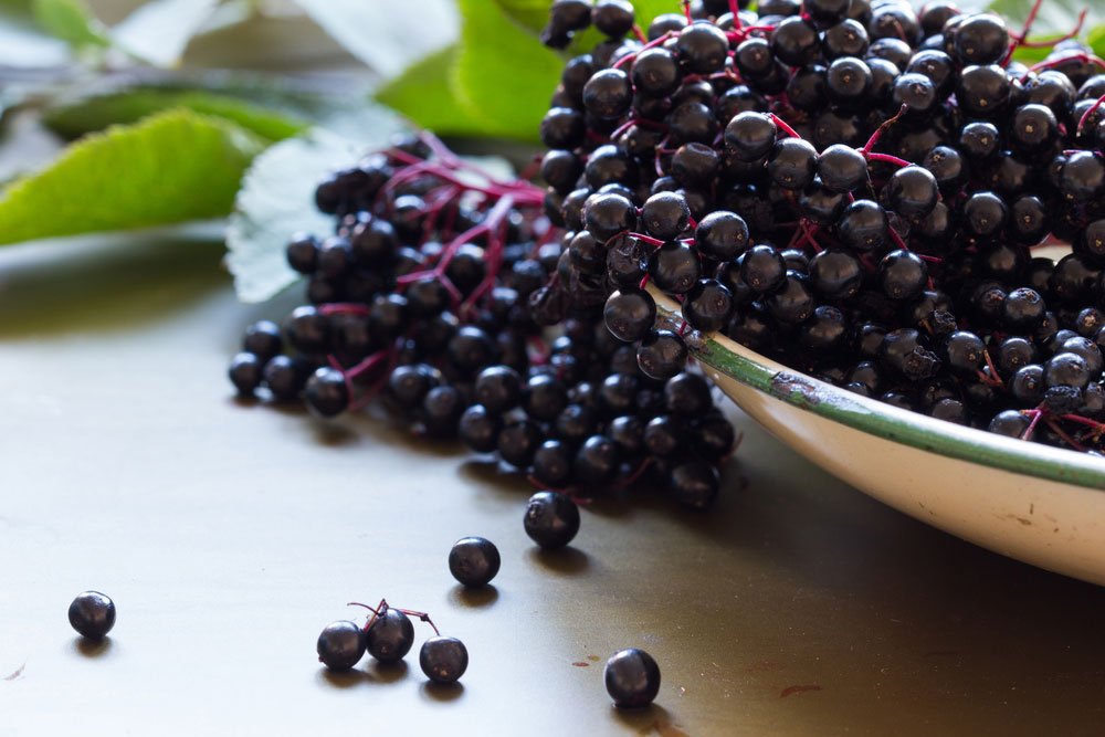 Elderberries