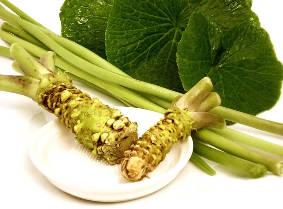 Oka wasabi is wasabi grown in soil