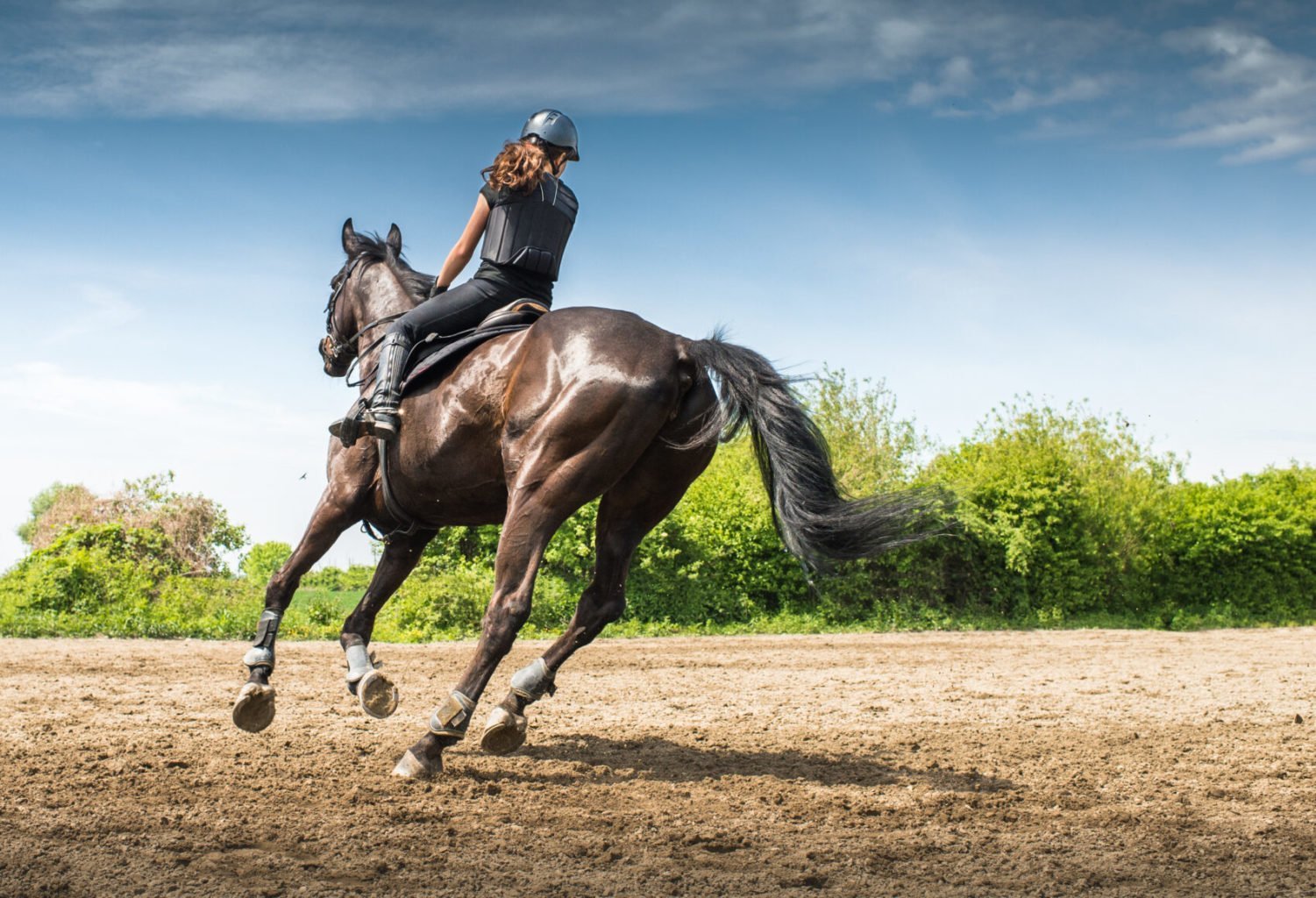 Horse Riding