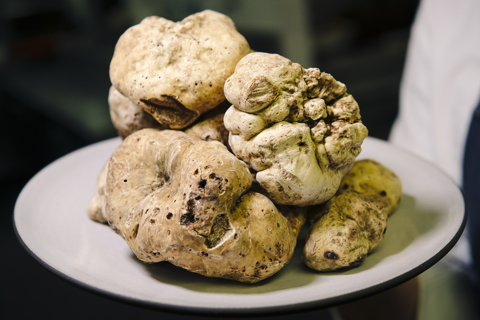 White Truffles