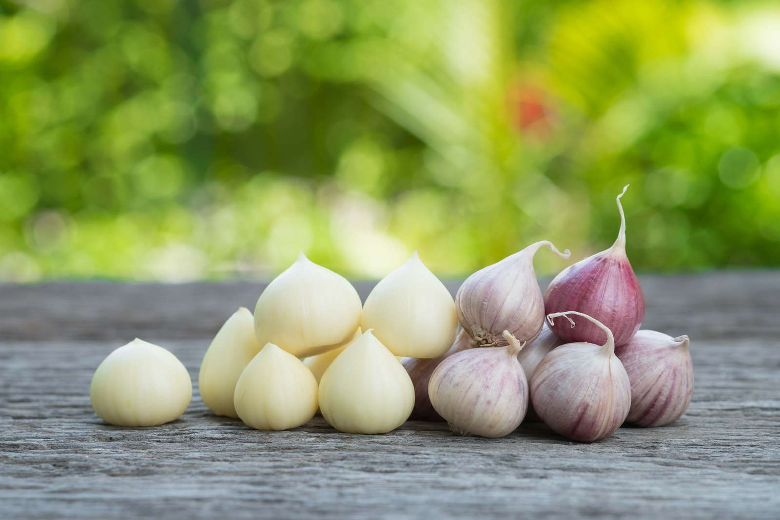 Garlic has miraculous cold prevention properties